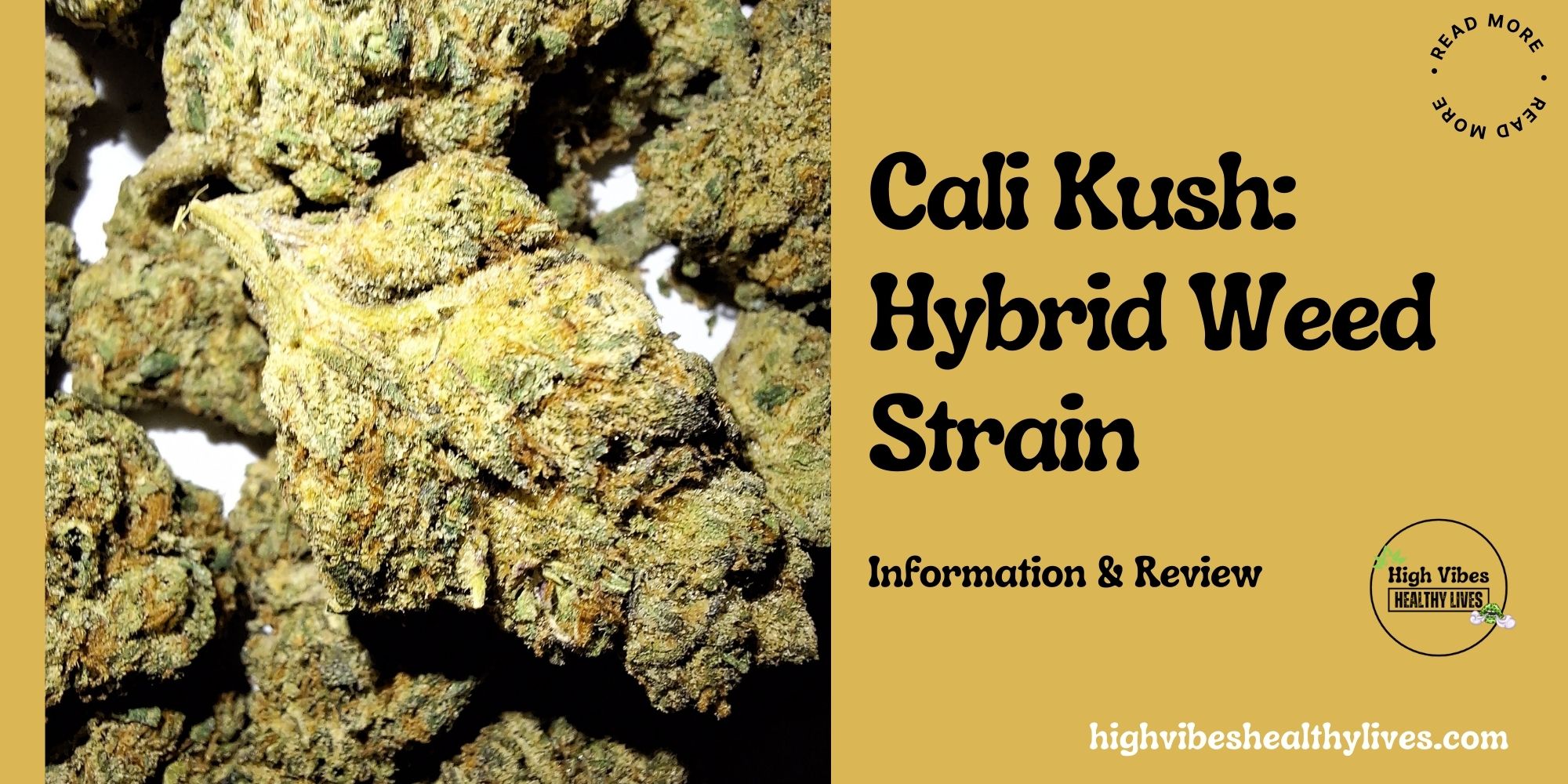 Cali kush hybrid weed strain featured.