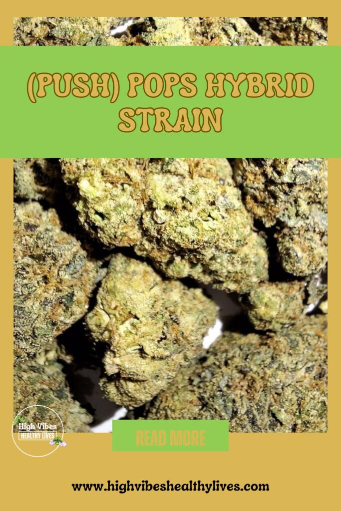 Push pops hybrid strain CBD and Hemp info and review Pinterest pin.