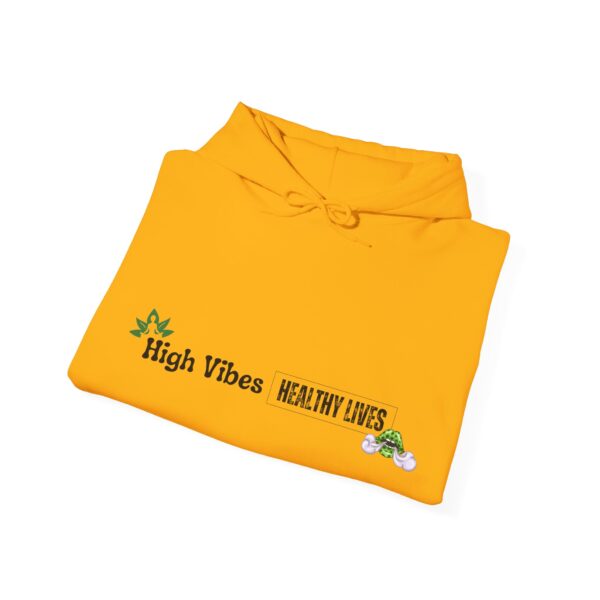 High Vibes Healthy Lives Long Logo Unisex Hooded Sweatshirt - Image 44