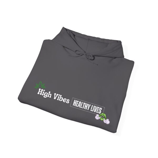 High Vibes Healthy Lives Long Logo Unisex Hooded Sweatshirt - Image 20