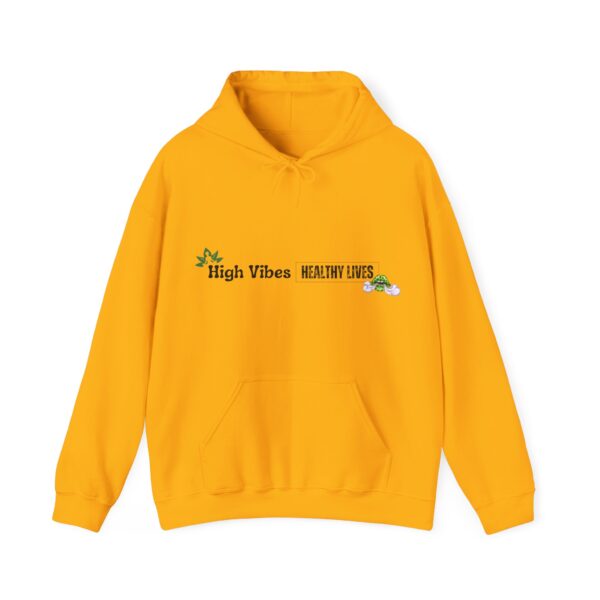 High Vibes Healthy Lives Long Logo Unisex Hooded Sweatshirt - Image 41