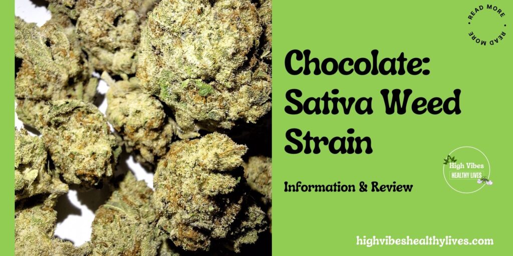 Chocolope Sativa weed strain info and review featured.