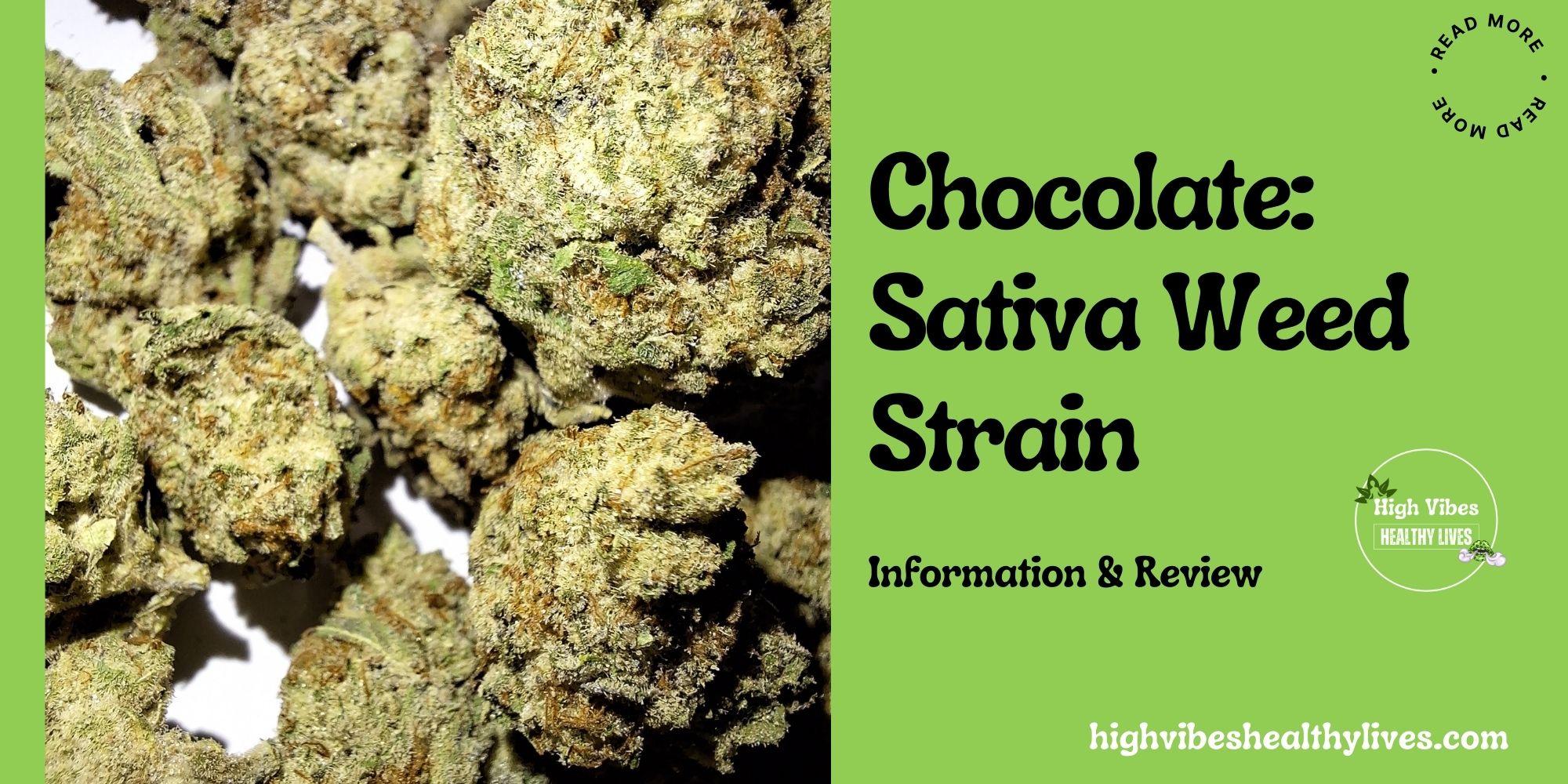 Chocolope Sativa weed strain info and review featured.