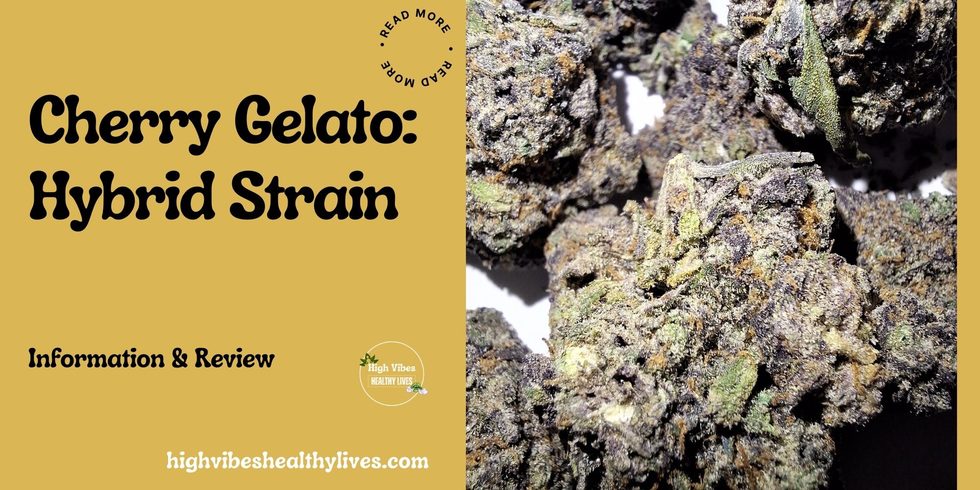 Cherry Gelato hybrid strain featured.