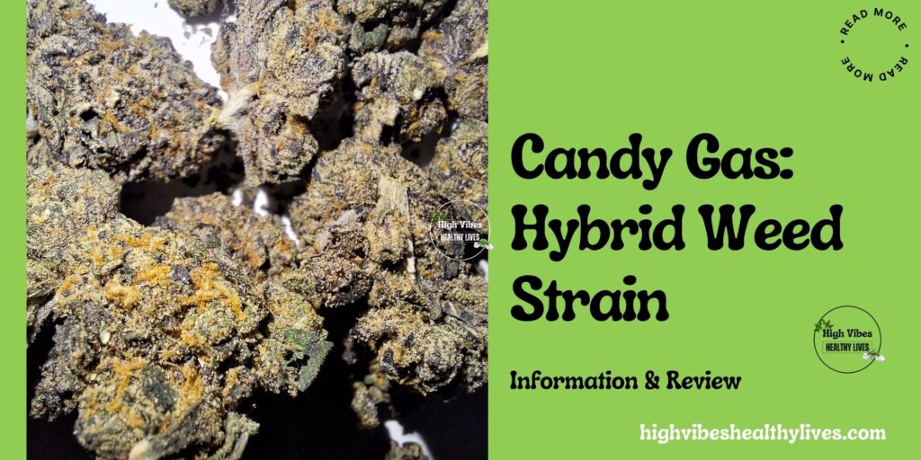 Candy Gas: Hybrid Weed Strain info and overview featured.