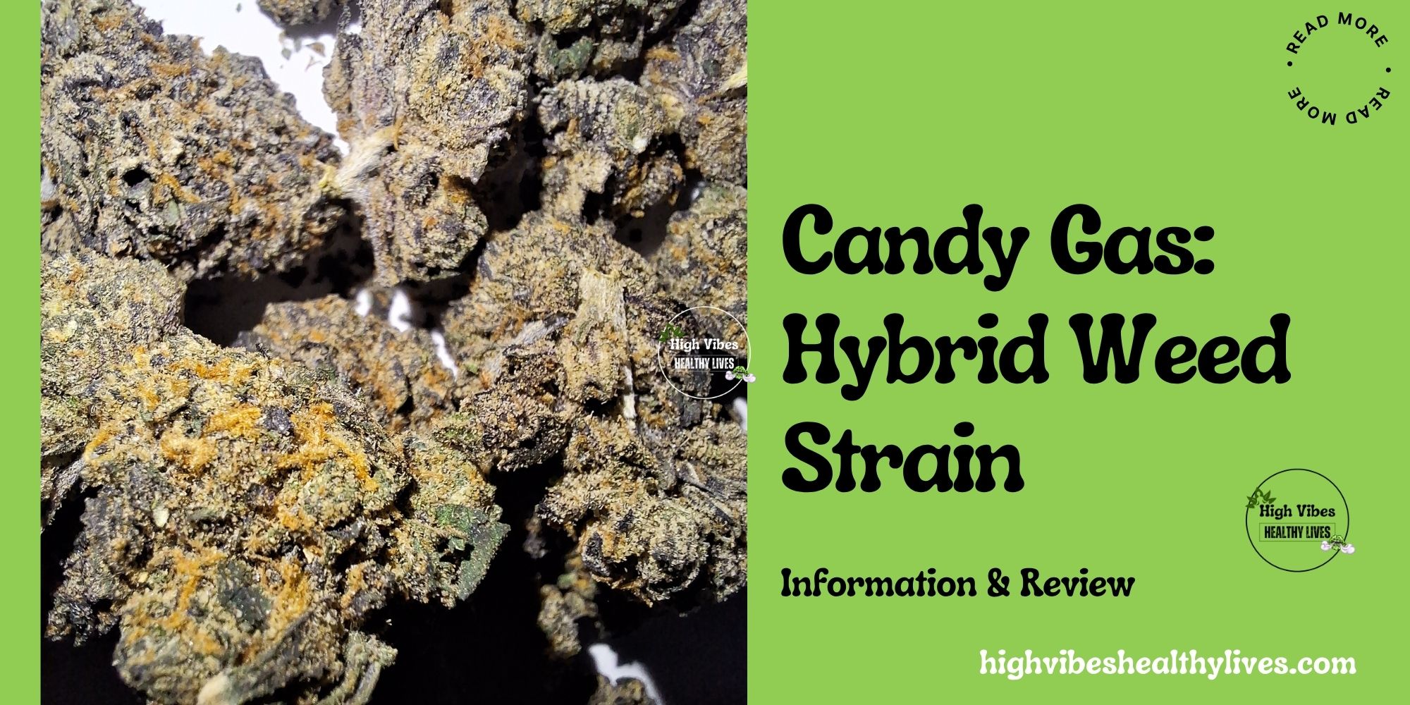 Candy Gas: Hybrid Weed Strain info and overview featured.
