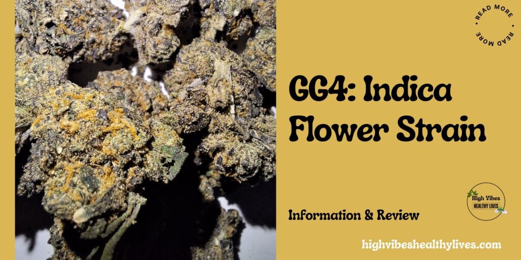 GG4 Indica Flower Strain Info and Overview Featured.