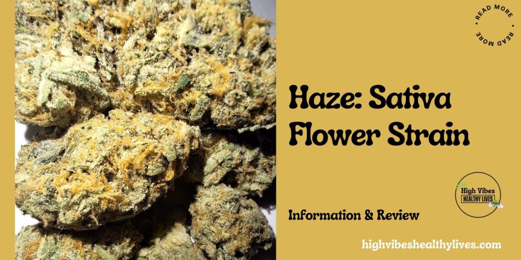 Haze: Sativa Flower Strain featured.