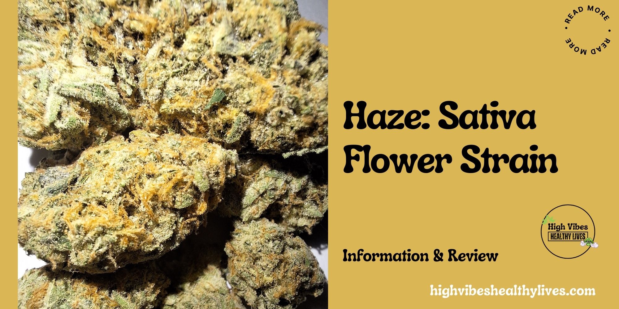Haze: Sativa Flower Strain featured.
