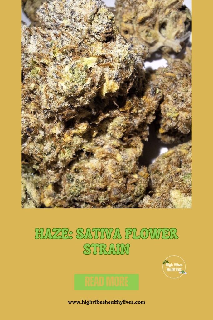 Haze-Sativa-Flower-Strain-info-review-6 Haze: Sativa Flower Strain info and review.