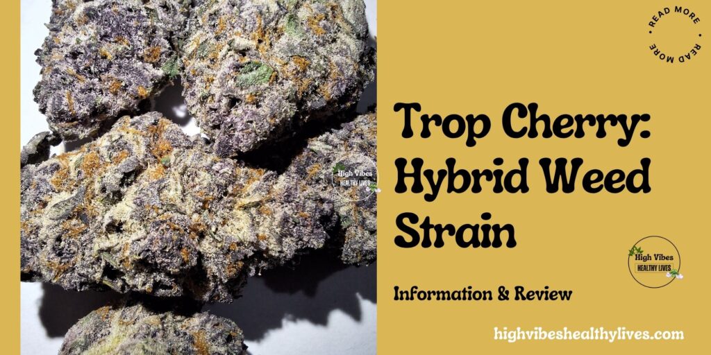 Trop Cherry: Hybrid Weed Strain.