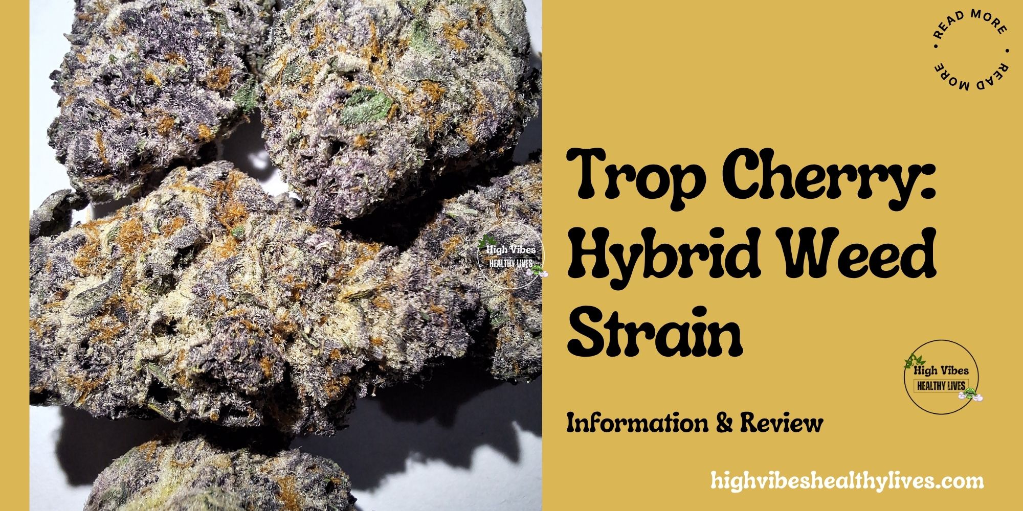 Trop Cherry: Hybrid Weed Strain.